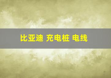 比亚迪 充电桩 电线